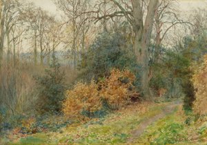 Chemin à travers le bois, 1902